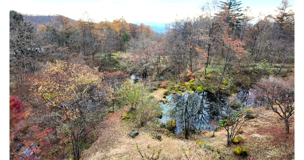 TAOYA日光霧降の部屋からの景色