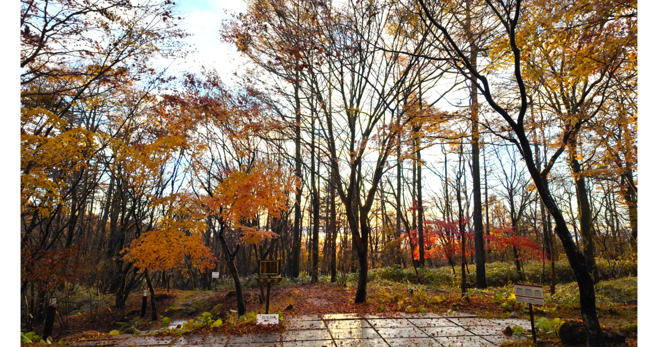 TAOYA日光霧降の散策路
