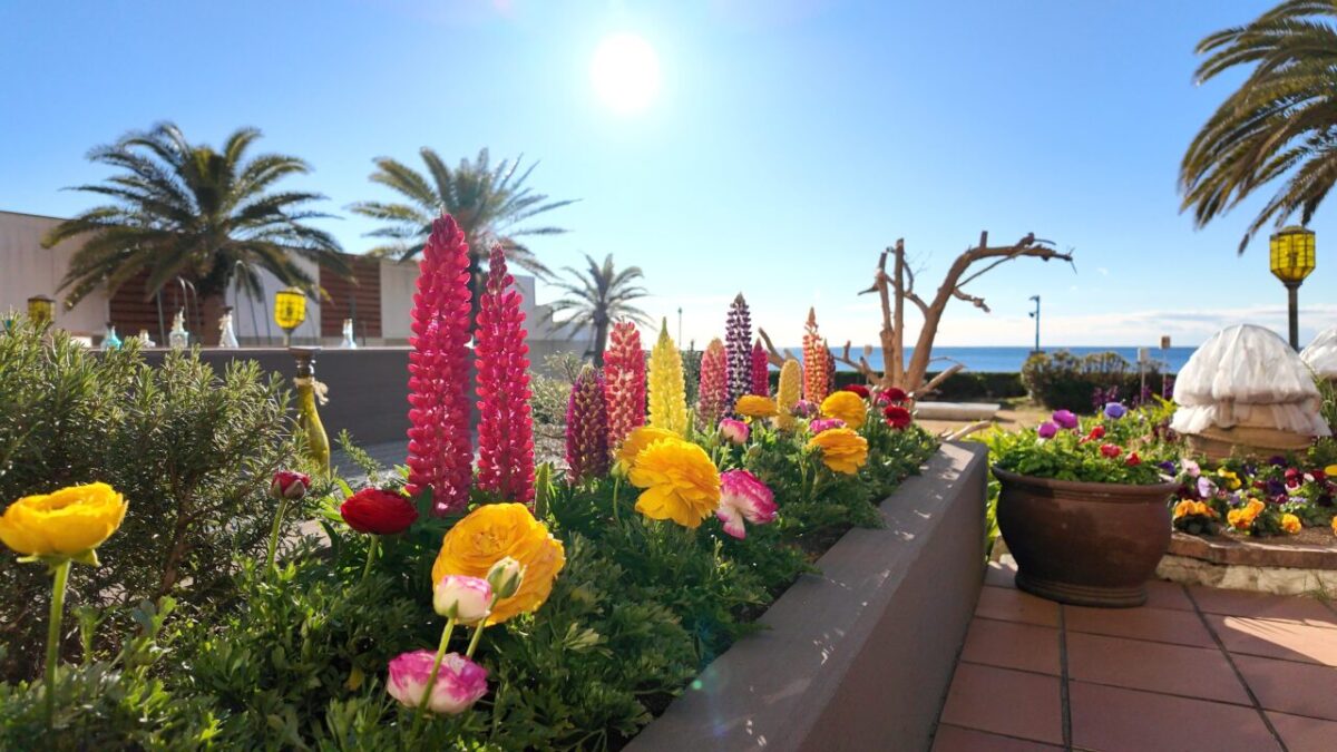 鴨川グランドホテル 庭園 花壇
